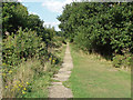 Path to the cricket club