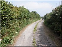 ST0633 : Track leading towards Elworthy Barrows by Roger Cornfoot