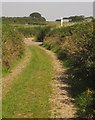 Green lane approaching Higher Elstone Cross