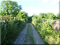 Footpath across the railway