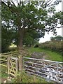 Footpath and stream near Winkleigh