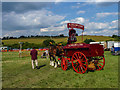 TL2901 : Shire Horses, Cuffley Steam and Heavy Horse Fair by Christine Matthews