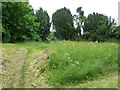 St John the Baptist, Ebbesbourne Wake: churchyard (b)