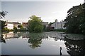 Lexden Park Pond