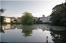 TL9725 : Lexden Park Pond by Glyn Baker