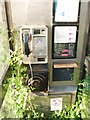 Telephone box taken over by nature, near Boughton Monchelsea