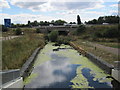 River Cherwell Flowing under the M40