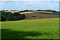 SU2030 : Rolling fields near Pitton by David Martin