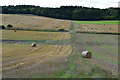 Footpath between harvested fields