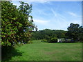 Bostall Woods from the Green Chain Walk