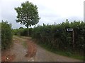 Road and footpath to Frankland