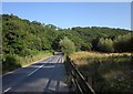 B3226 approaching Head Bridge