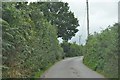 Mid Devon : Country Lane