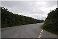 Mid Devon : Country Road