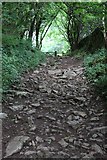 ST4854 : Stone footpath at Cheddar Gorge by Oast House Archive