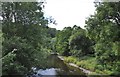 Oakfordbridge : The River Exe