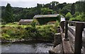 Oakfordbridge : The River Exe