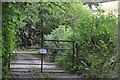 Mid Devon : Track to Benshayes Farm