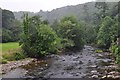 West Somerset : The River Barle