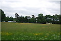 Meadow by Newark Lane