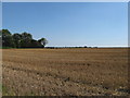SU9402 : Stubble field south of Sack Lane by Dave Spicer