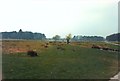 View towards Leg of Mutton Pond, Bushy Park