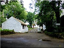 H4379 : Mellon Homestead, Ulster American Folk Park by Kenneth  Allen
