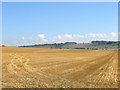 Old Denshire/Barn Field/New Denshire