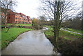 River Wey