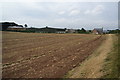 Ploughed and planted field near Skipton-on-Swale