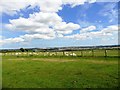 View across the fields near Cooper House farm