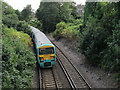 Railway cutting, East Dulwich