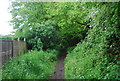 Tandridge Border Path, Weatherhill