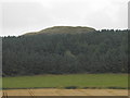 Dunsinane Hill