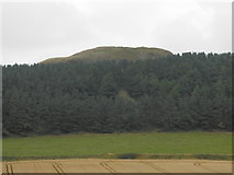 NO2131 : Dunsinane Hill by Douglas Nelson