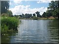 Hampton Wick Pond, Home Park