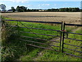 Farmland near Stubble Hill Farm