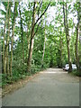 Viggory Lane, Horsell Birch