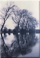 SP4908 : River Thames, Port Meadow, Oxford, 1983 by Christopher Hilton