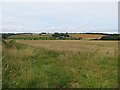 Barley, near Netherwells