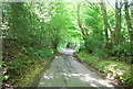 Fysie Lane in Burgh Wood