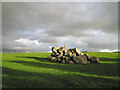 Stones in a field at Merthyr Farm