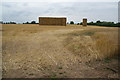 SE3981 : Almost harvested field near Sandhutton by Bill Boaden