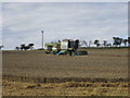 NU0528 : Combine Harvester at work, near Chatton by Graham Robson