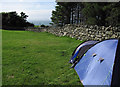 The top field of Merthyr Farm campsite