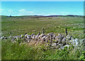 NO8589 : Drystone wall at the edge of an immense grassy field by C Michael Hogan