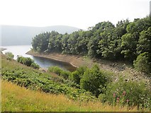NT1923 : Arm of Megget Reservoir by Richard Webb