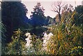 River Yare Eaton Common