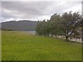 Little Loch Broom at Camusnagaul