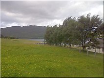 NH0689 : Little Loch Broom at Camusnagaul by Mick Garratt